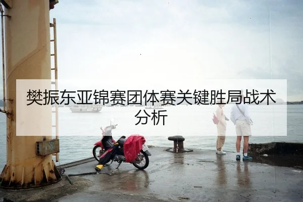 樊振东亚锦赛团体赛关键胜局战术分析