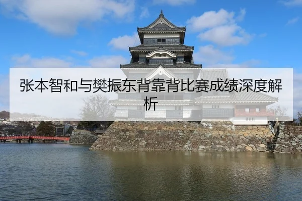张本智和与樊振东背靠背比赛成绩深度解析