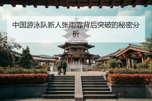 zhong-guo-you-yong-dui-xin-ren-zhang-yu-fei-bei-hou-tu-po-de-mi-mi-fen-xi-2-178.jpg