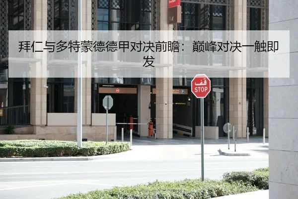 拜仁与多特蒙德德甲对决前瞻：巅峰对决一触即发
