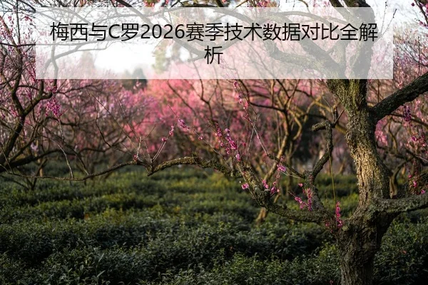 梅西与C罗2026赛季技术数据对比全解析